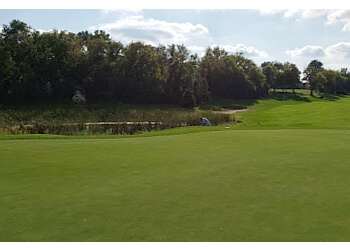 rochester golf mn tbr inspection report