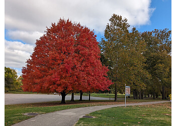 3 Best Hiking Trails in Dayton, OH - Expert Recommendations