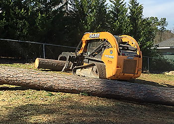 Augusta Tree Services Eben Gray's Tree Services