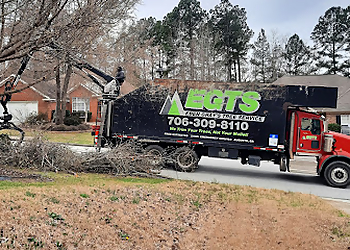 Eben Gray's Tree Services Augusta Tree Services image 1