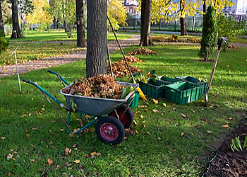 Bellevue Lawn Care Services Ebenezer Landscaping & Handyman Services, LLC