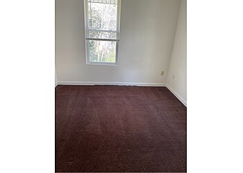 Hampton Carpet Cleaners Eco Carpet Pro