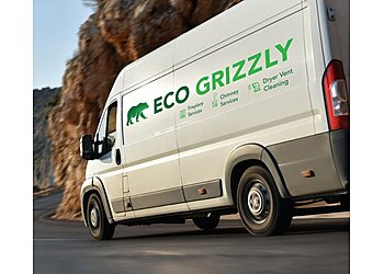 Los Angeles Chimney Sweep Eco Grizzly