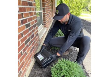 Naperville Pest Control Companies EcoGuard Pest Control