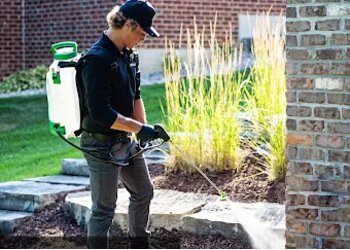 Naperville Pest Control Companies EcoGuard Pest Control