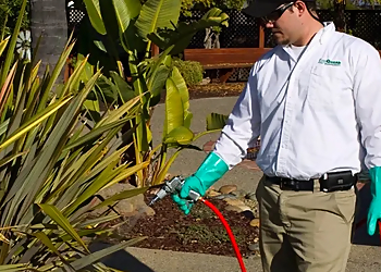 Santa Clara Pest Control Companies EcoGuard Pest Management