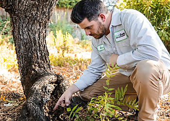 Santa Clara Pest Control Companies EcoGuard Pest Management