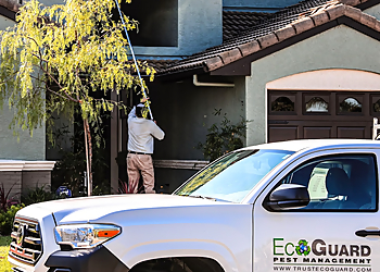 EcoGuard Pest Management Pacheco Concord Pest Control Companies image 1