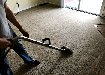 EcoNest Carpet Cleaning Service