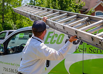 Buffalo Pest Control Companies Eco Serve Pest Services