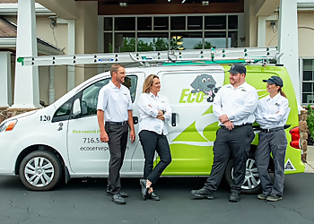 Eco Serve Pest Services Buffalo Pest Control Companies image 1