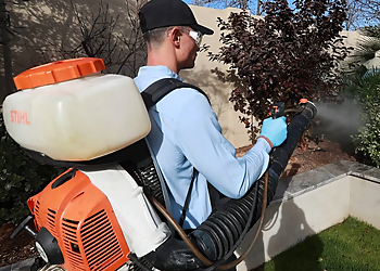 Atlanta Pest Control Companies EcoShield Pest Solutions