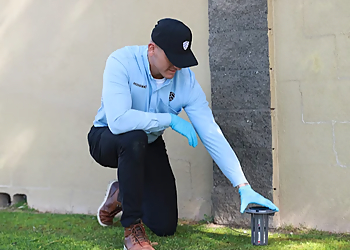 EcoShield Pest Solutions - Fort Lauderdale, FL Pest Control Companies - Service Image