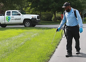 Fort Worth Pest Control Companies Eco Shield Pest Solutions Fort Worth