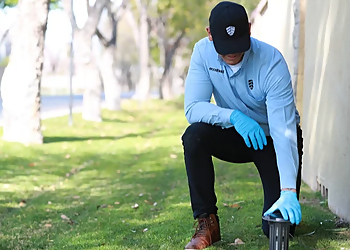 Fort Worth Pest Control Companies Eco Shield Pest Solutions Fort Worth