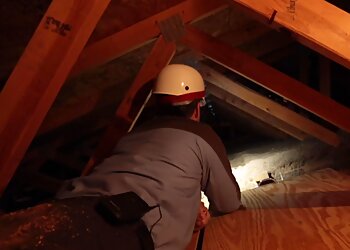 Los Angeles Pest Control Companies EcoShield Pest Solutions