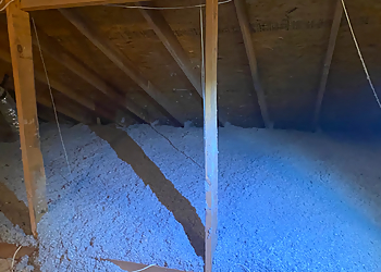 EcoShield Pest Solutions - Plano, TX Pest Control Companies - Job Site Image