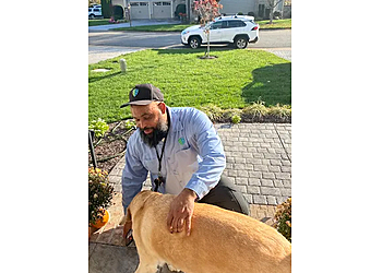 Richmond Pest Control Companies EcoShield Pest Solutions