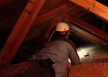 Atlanta Pest Control Companies EcoShield Pest Solutions Atlanta