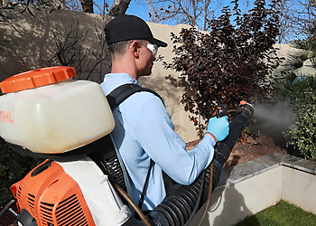 Austin Pest Control Companies EcoShield Pest Solutions Austin