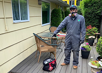 Austin Pest Control Companies EcoShield Pest Solutions Austin