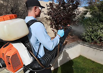 Honolulu Pest Control Companies EcoShield Pest Solutions Kaneohe