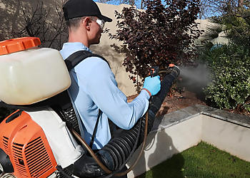 Olathe Pest Control Companies EcoShield Pest Solutions Lenexa