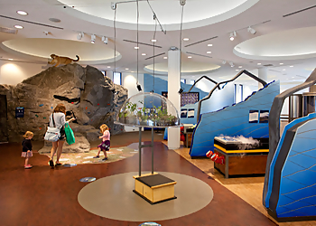 Worcester Places To See EcoTarium