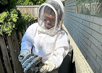 Chicago Pest Control Companies Eco Tech Inc.