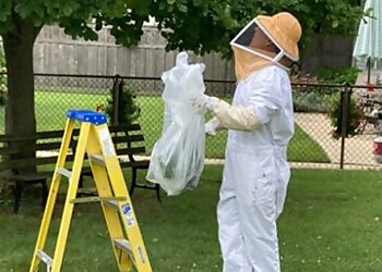 Chicago Pest Control Companies Eco Tech Pest Control