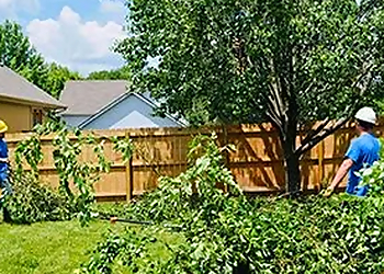 Kansas City Tree Services Eden Tree Service