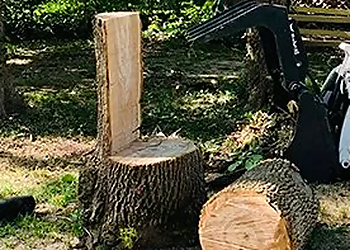 Kansas City Tree Services Eden Tree Service
