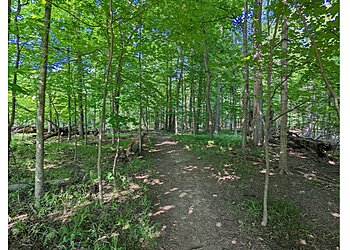 Chicago Hiking Trails Edgebrook Woods
