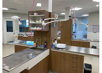 Edinburgh Animal Hospital - Chesapeake, VA Veterinary Clinics - Medical Procedure Image