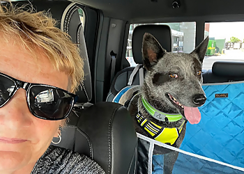 Ehlers Animal Care - Lincoln, NE Veterinary Clinics - Service Highlights