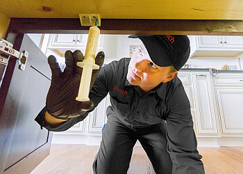 Ehrlich Pest Control Buffalo Ny
