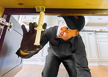 Detroit Pest Control Companies Ehrlich Pest Control