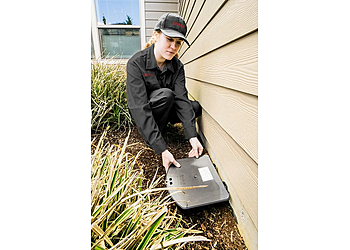 Ehrlich Pest Control - New Haven, CT Pest Control Companies
