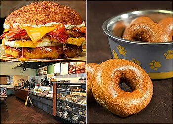 Clearwater Bagel Shops Einstein Bros. Bagels