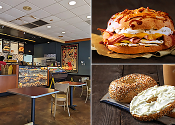 Hollywood Bagel Shops Einstein Bros. Bagels