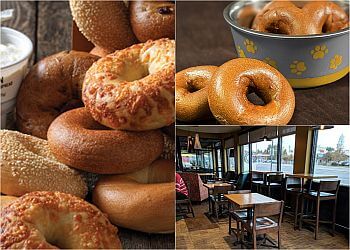 Einstein Bros. Bagels - Lakewood, CO Bagel Shops - collage image(highlights)