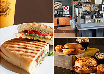 Tampa Bagel Shops Einstein Bros. Bagels