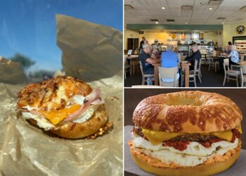 Tucson Bagel Shops Einstein Bros. Bagels