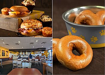 Albuquerque Bagel Shops Einstein Bros. Bagels Albuquerque