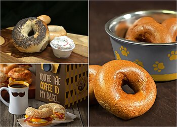 Fort Collins Bagel Shops Einstein Bros. Bagels Fort Collins