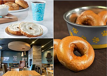 Madison Bagel Shops Einstein Bros. Bagels Madison