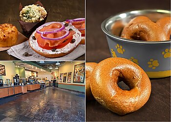 Salt Lake City Bagel Shops Einstein Bros. Bagels Salt Lake City