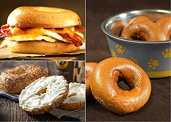 St Louis Bagel Shops Einstein Bros. Bagels St Louis