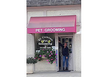 El Camino Pet Grooming Irvine Pet Grooming image 1
