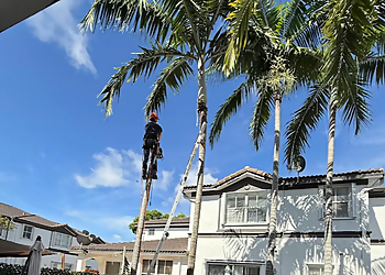 El Chino Tree Services - Hialeah, FL Tree Services - Maintenance Service Image